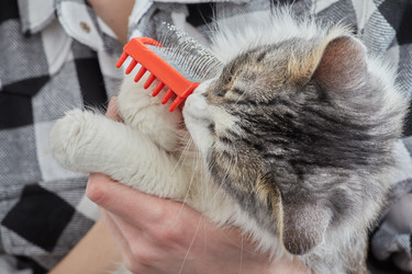 Similar image 21151616