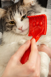 Similar image 21151620