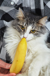 Similar image 21151626