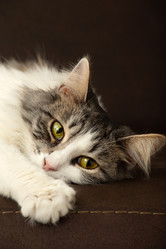 Similar image 21151725