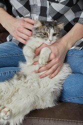 Similar image 21153067