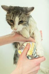 Similar image 21153069