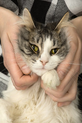 Similar image 21153070