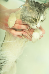 Similar image 21153071