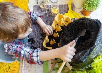 Similar image 21154443