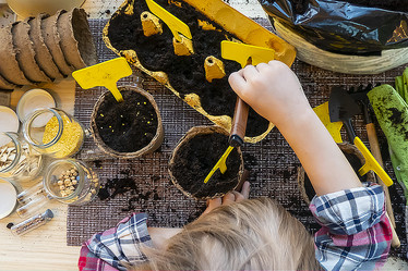 Similar image 21188164