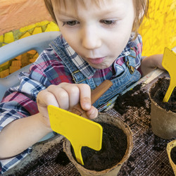 Similar image 21154451