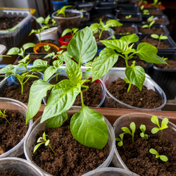 Similar image 21154694