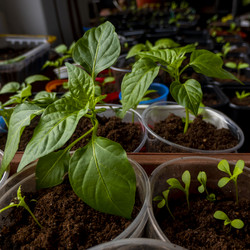 Similar image 21154697