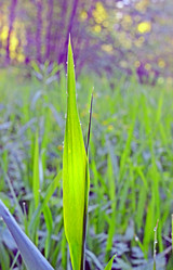 Similar image 21156522