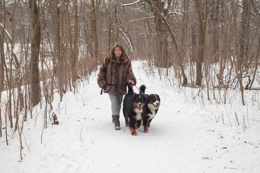 Similar image 21153090