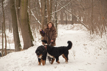 Similar image 21153096