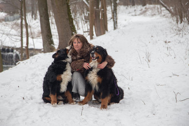 Similar image 21155266