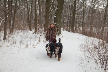 Similar image 21169144