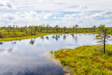 Similar image 21155269