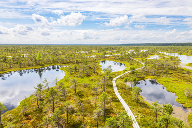 Similar image 21155271