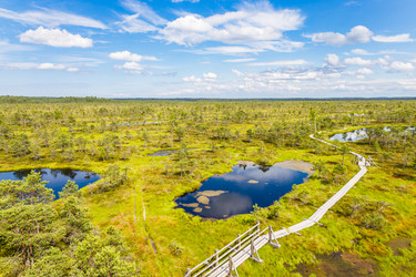 Similar image 21155272