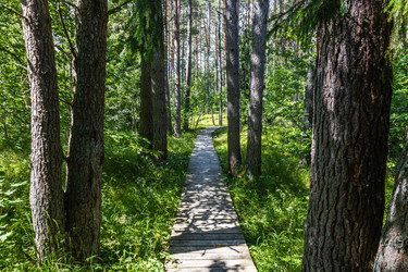 Similar image 21155283