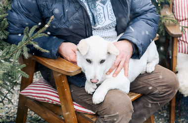 Similar image 21154791