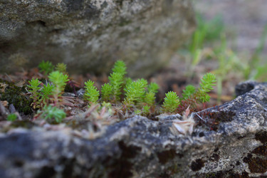 Similar image 21179961