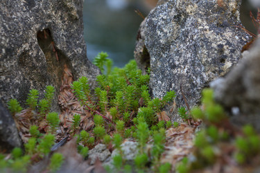 Similar image 21179962