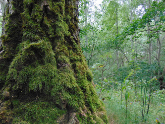 Similar image 21154291