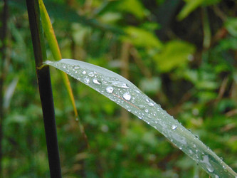 Similar image 21154292