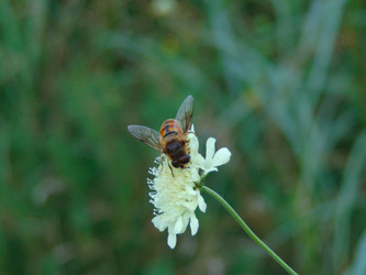 Similar image 21154293