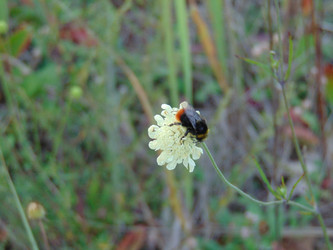 Similar image 21154294