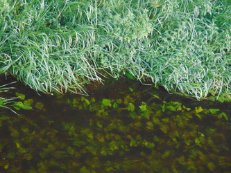 Similar image 21154295