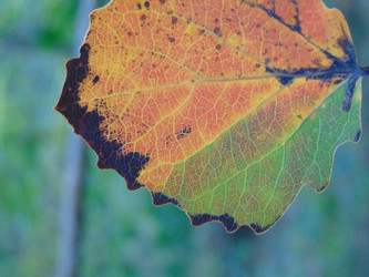 Similar image 21154296