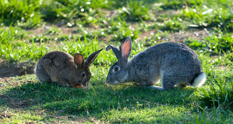 Similar image 21157177