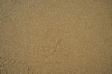 Similar image 21157184