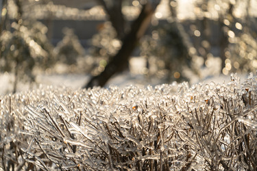 Similar image 21188792