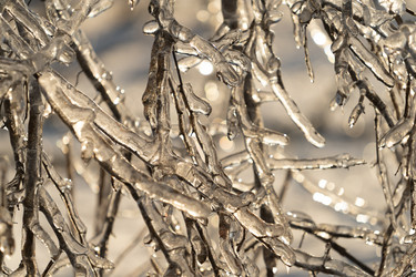 Similar image 21157193