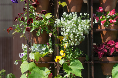 Similar image 21156847