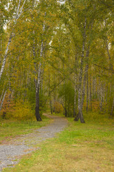 Similar image 21180738