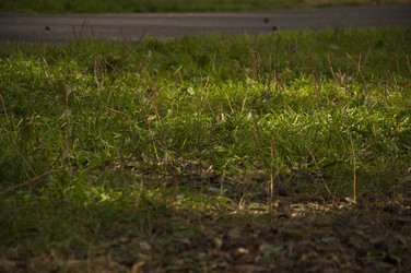 Similar image 21180740