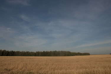 Similar image 21180741