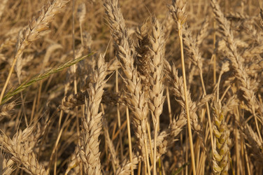 Similar image 21180742