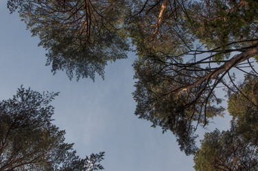 Similar image 21180743