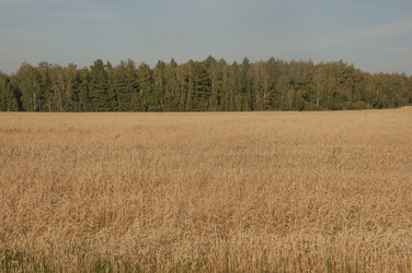 Similar image 21180744