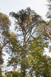 Similar image 21180745