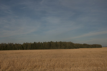 Similar image 21180746