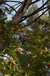 Similar image 21180747