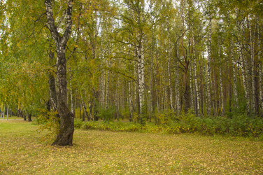 Similar image 21180750