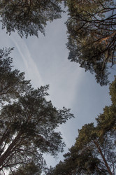 Similar image 21180751