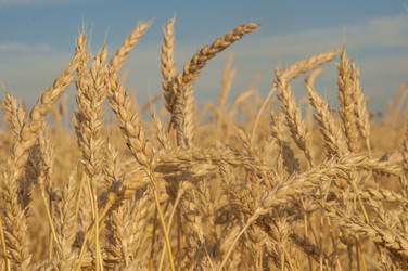 Similar image 21180752