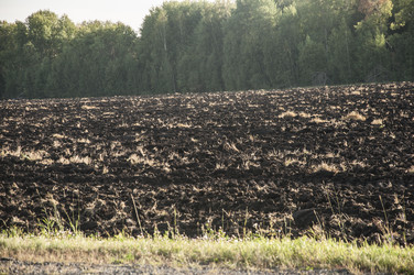 Similar image 21180754