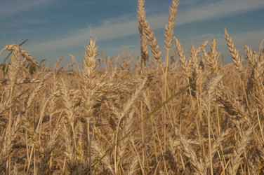 Similar image 21180756